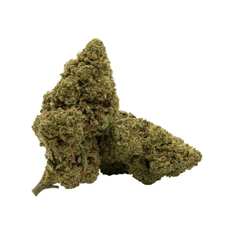 Fleur CBD Amnesia Premium proposée par Amazone Paradise, disponible en Guyane.