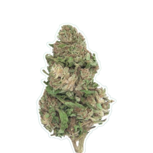 GORILLA BLUE PEYI