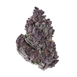 GRAND DADDY PURPLE
