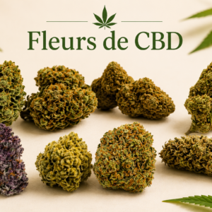 Fleurs CBD Premium