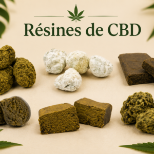 Résines CBD Premium